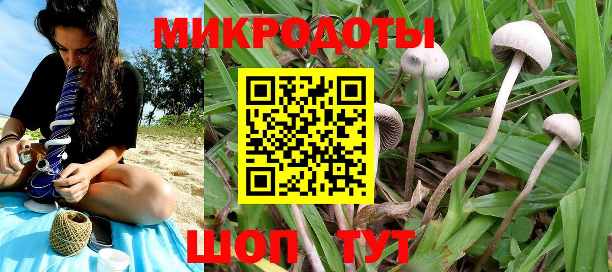 Рязань  Псилоцибиновые грибы мухоморы  Вход с VPN 